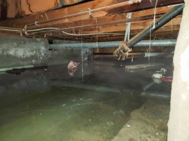 Best Water damage restoration company  in Monroeville, AL