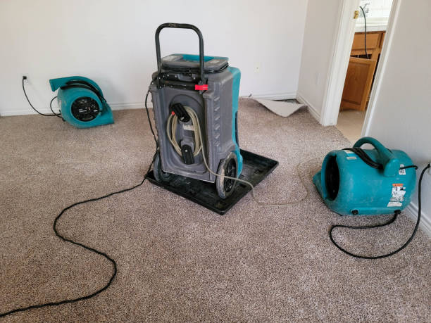 Best Flooded house restoration  in Monroeville, AL