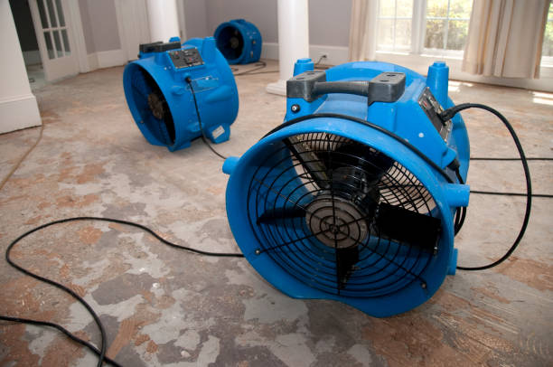 Water damage restoration experts in Monroeville, AL