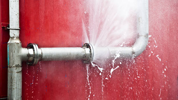 Best Water damage contractors near me  in Monroeville, AL