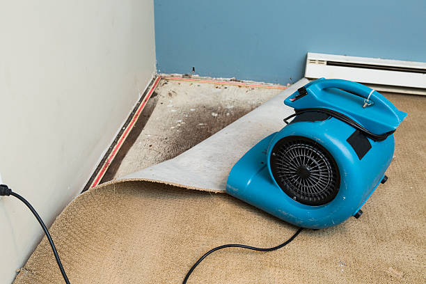Water damage restoration insurance claims in Monroeville, AL